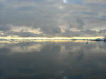 Antartic